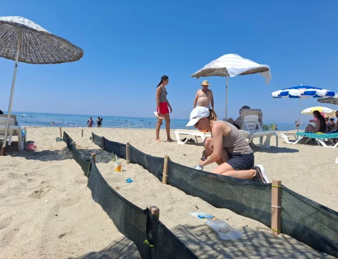 YAVRU CARETTA GÖNÜLLÜLERİ  Yavru carettalar denize ulaşsın diye plaja özel yol yapıp gece nöbet tuttular