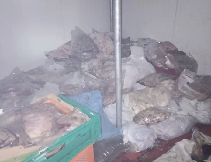 Gümbet'deki kasaptan yayılan kötü koku mahalleyi ayağa kaldırdı, 400 kilo kokmuş et ele geçirildi
