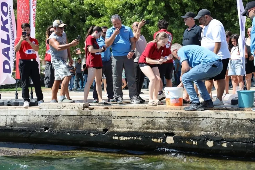 Gençler Köyceğiz Gölü'ne 100 bin yavru sazan bıraktı