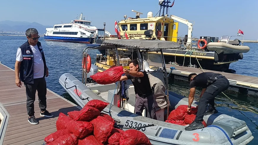 YASA DIŞI AVCILIKTA YARIM TONLUK VURGUN! 560 KİLO MİDYEYE EL KONULDU