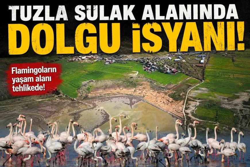 TUZLA SULAK ALANI RANT ALANI DEĞİL KUŞLARIN ALANIDIR BARGİLYA KUŞ CENNETİ’NDE YENİ KRİZ: SULAK ALANI ÇÖLE ÇEVİRİYORLAR