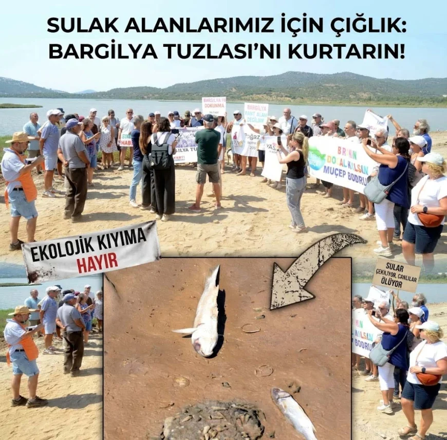Tuzla'daki  flamingo cennetindeki yüzlerce ton dolguya sert tepki, balıklar ölmeye başladı