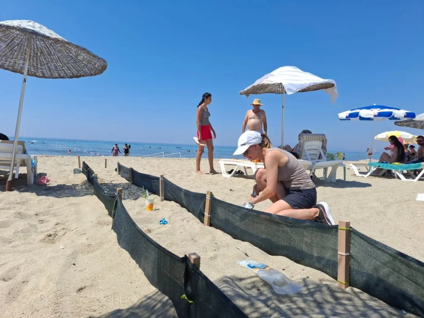 YAVRU CARETTA GÖNÜLLÜLERİ  Yavru carettalar denize ulaşsın diye plaja özel yol yapıp gece nöbet tuttular