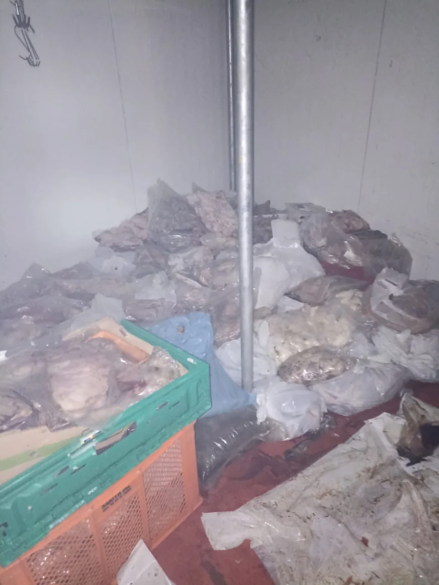 Gümbet'deki kasaptan yayılan kötü koku mahalleyi ayağa kaldırdı, 400 kilo kokmuş et ele geçirildi
