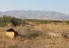125 KURUM VE KURULUŞTAN EBER GÖLÜ’NÜ KURUTMAYIN/ KURTARIN ÇAĞRISI