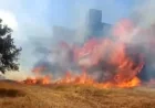MUĞLA YİNE ALEV ALEV! ALEVLERE HAVADAN VE KARADAN BÜYÜK MÜDAHALE