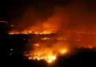 SON DAKİKA ...BODRUM’DA BALA VE ASPAT BÖLGESİNDE YANGIN