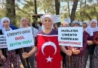 DEŞTİN ÇEVRE PLATFORMUNDAN  ÇİMENTO FABRİKASI TEPKİSİ "MUĞLA'YI KARANLIK SERMAYEYE TESLİM ETMEYECEĞİZ: ADALET NÖBETİ'NE DAVET EDİYORUZ"