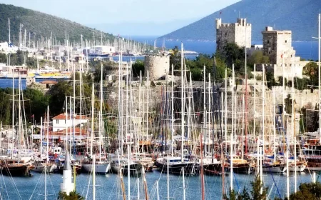 SİYASİ -YORUM:BODRUM SİYASETİNDE GüZEL GÜNLER GÖRECEĞİZ..KOLTUK HASTALIĞI....!