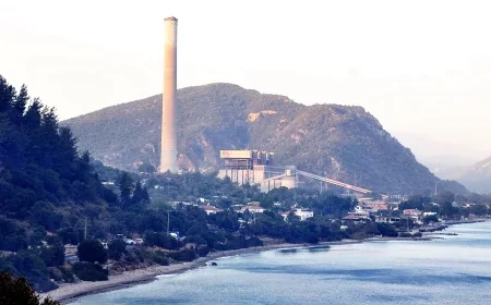 MUĞLA’DAKİ TERMİK SANTRALLERLE İLGİLİ ÇARPICI RAPOR: KAPATILMALARI SİSTEMİ ETKİLEMEYECEK