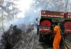 YANGINLARDAN DERS ALMADILAR.MAZI’DA ORMAN YANGINI PANİĞİ