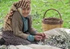 “KORUYAMADIĞIMIZ MİRAS: ZEYTİN” 