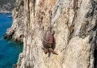 Natura 2000 Koruma Ağı altında olan adada vahşet. Deniz Kaplumbağası Öldürüldü ve Kayaya Asıldı