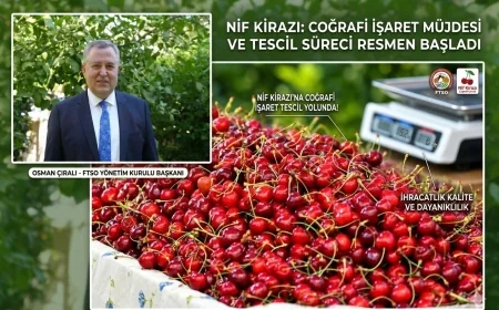 FETHİYE'NİN NİF KİRAZI İÇİN COĞRAFİ İŞARET MÜJDESİ: TESCİL YOLUNDA ÖNEMLİ ADIM!