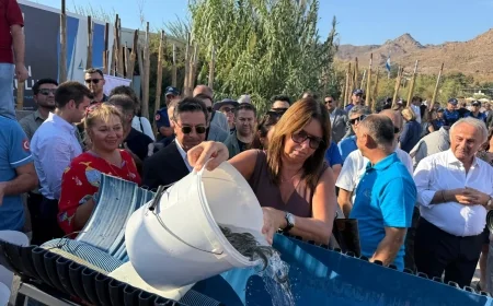 BODRUM BALIK FESTİVALİ BAŞLADI