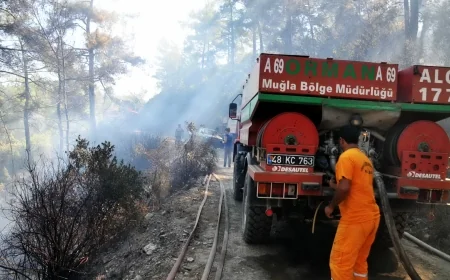 YANGINLARDAN DERS ALMADILAR.MAZI’DA ORMAN YANGINI PANİĞİ