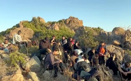 Bodrum Dağlarında Kaçak Göçmen Avı: 23 Kişi Yakalandı!