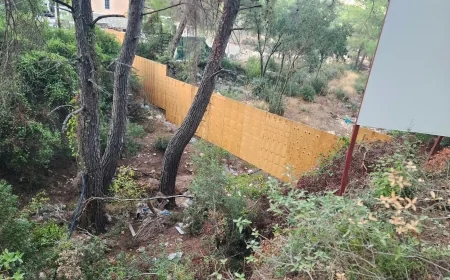 AMAN RÜYA VE RE PİE PROJESİ...TMMOB UYARMIŞTI: AĞAÇ KATLİAMINDAN SONRA ŞİMDİ DE DERELERİ KAPATIYORLAR!
