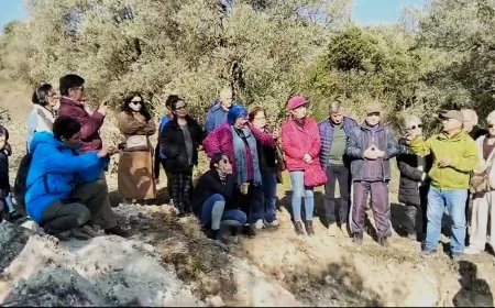 ZEYTİN ÜRETİCİSİ  BÖYLE İSYAN ETTİ  “Böyle giderse ağaçları kesmek zorunda kalacağız”
