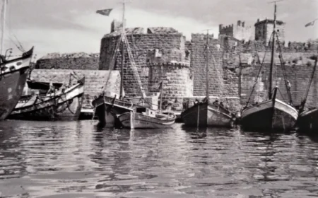 Halikarnassos kazılarının 60 yılı Bodrum’da sempozyumla ele alındı