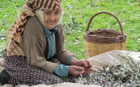 “KORUYAMADIĞIMIZ MİRAS: ZEYTİN” 