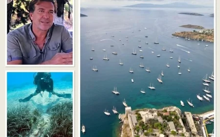    BODRUM BOATSHOW KRİZLE BAŞLIYOR  Deniz Bioloğu Prof. Dr.Mert Gökalp’ten Boatshow’daki teknelere uyarı geldi”Bu kadar teknenin demir atmasına ne deniz dayanır ne deniz canlıları”   
