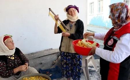 MİLAS KÖYLÜLERİNİN İPEKBÖCEĞİ MERAKI GEÇİM KAYNAĞI OLDU.