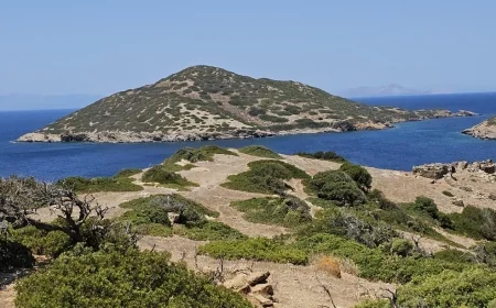Bodrum açıklarında 4,5 Milyon Euro’ya satılık ada…Türk İş İnsanları Sıraya Girdi!