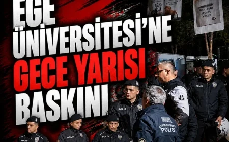 Köpekleri toplamak için İzmir Ege Üniversitesi'ne gece yarısı baskını!