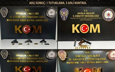 Bodrum Ve İki İlçede   Silah ve Uyuşturucu Operasyonu: 1 Tutuklama!