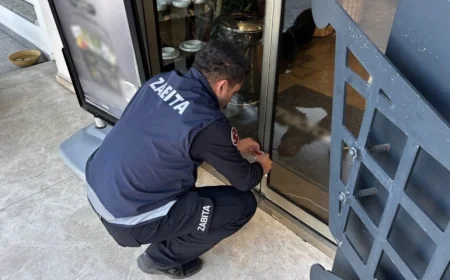Bodrum’da Halk Sağlığını Tehlikeye Atan 8 İşyeri Kapatıldı, ceza yağdı, 3 gün sonra yine faaliyetteler