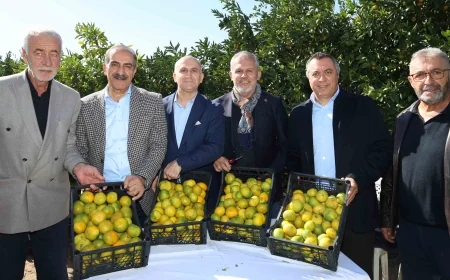    SATSUMA MANDALİNA HASAT TÖRENİ YAPILDI, İHRACATI BAŞLADI