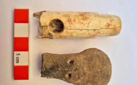Troya Kazılarında Tarihi Keşif! 160 Yıllık Kazı Tarihinin İlk Müzik Aleti Bulundu