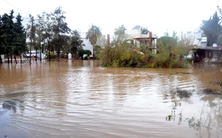 MUĞLA’DA SEL FELAKETİ! EVLER, İŞ YERLERİ VE TARIM ARAZİLERİ SU ALTINDA