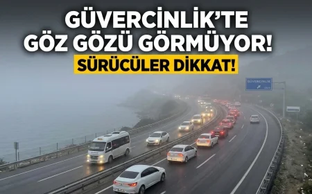 BODRUM-MİLAS YOLUNDA SİS KÂBUSU: GÜVERCİNLİK'TE GÖRÜŞ MESAFESİ DÜŞTÜ, TRAFİK DURMA NOKTASINA GELDİ!