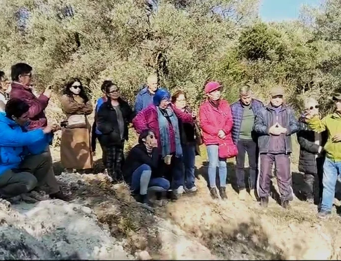 ZEYTİN ÜRETİCİSİ  BÖYLE İSYAN ETTİ  “Böyle giderse ağaçları kesmek zorunda kalacağız”