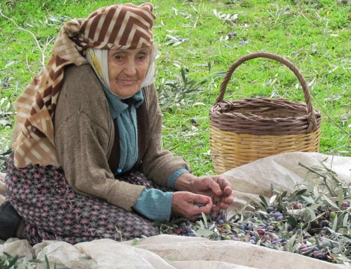 “KORUYAMADIĞIMIZ MİRAS: ZEYTİN” 