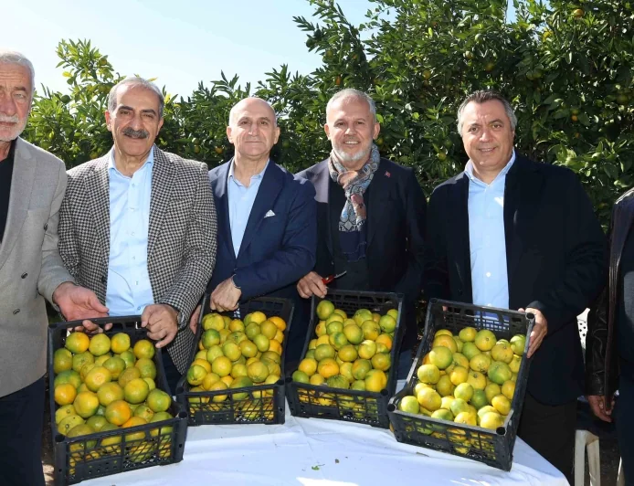   SATSUMA MANDALİNA HASAT TÖRENİ YAPILDI, İHRACATI BAŞLADI