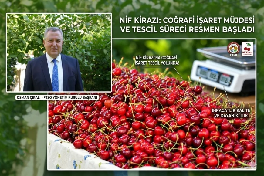 FETHİYE'NİN NİF KİRAZI İÇİN COĞRAFİ İŞARET MÜJDESİ: TESCİL YOLUNDA ÖNEMLİ ADIM!