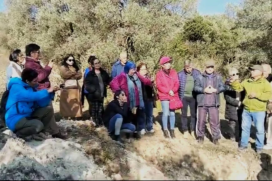ZEYTİN ÜRETİCİSİ  BÖYLE İSYAN ETTİ  “Böyle giderse ağaçları kesmek zorunda kalacağız”