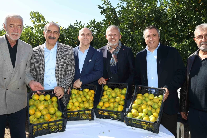    SATSUMA MANDALİNA HASAT TÖRENİ YAPILDI, İHRACATI BAŞLADI