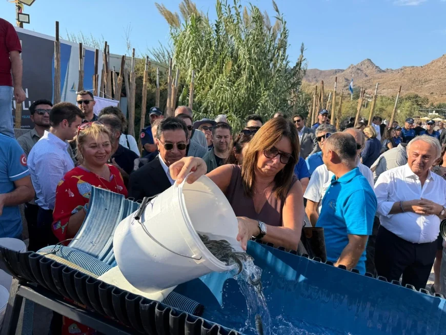 BODRUM BALIK FESTİVALİ BAŞLADI