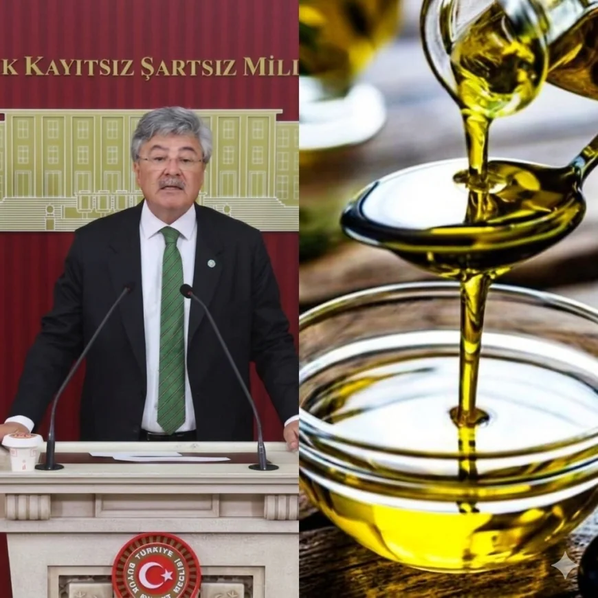 ZEYTİNYAĞI İHRACATINDA YÜZDE 62’LİK KAYIP TBMM’NİN GÜNDEMİNE TAŞINDI