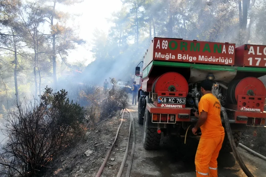 YANGINLARDAN DERS ALMADILAR.MAZI’DA ORMAN YANGINI PANİĞİ