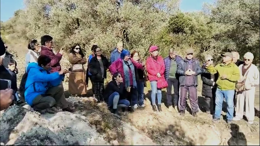 ZEYTİN ÜRETİCİSİ  BÖYLE İSYAN ETTİ  “Böyle giderse ağaçları kesmek zorunda kalacağız”