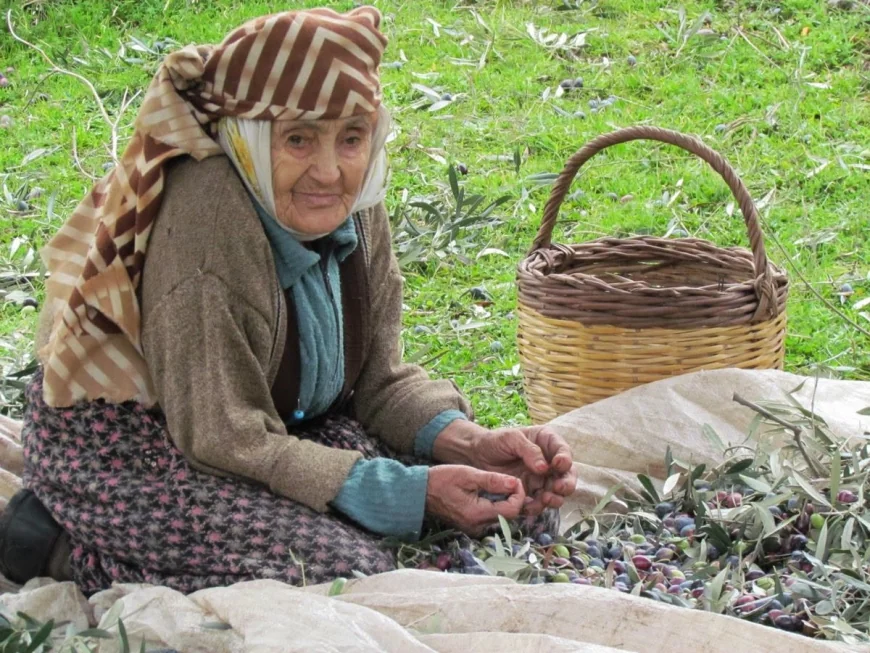 “KORUYAMADIĞIMIZ MİRAS: ZEYTİN” 