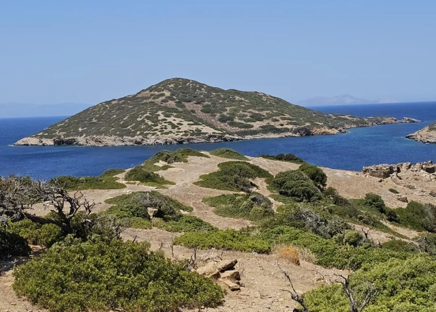Bodrum açıklarında 4,5 Milyon Euro’ya satılık ada…Türk İş İnsanları Sıraya Girdi!