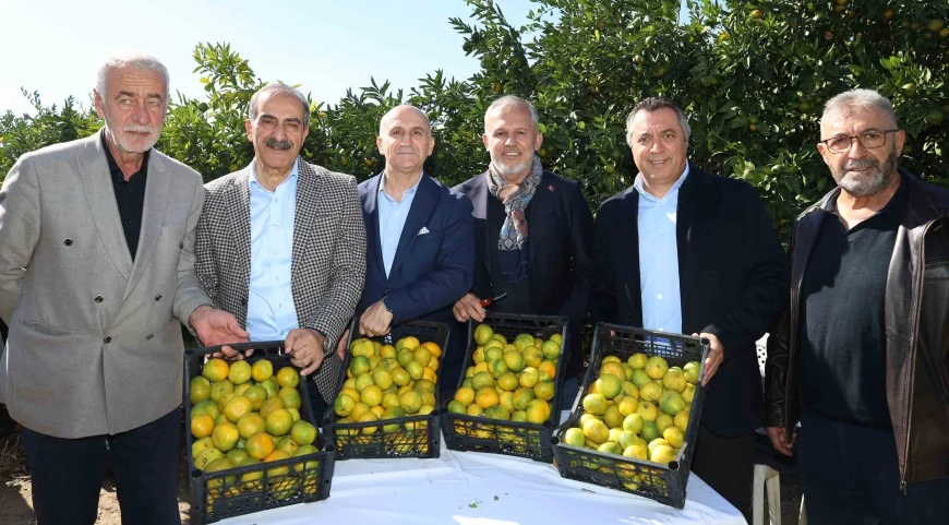    SATSUMA MANDALİNA HASAT TÖRENİ YAPILDI, İHRACATI BAŞLADI