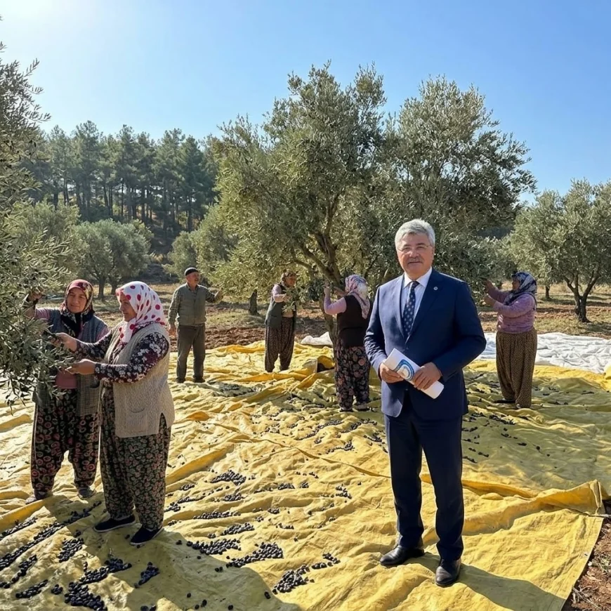 ZEYTİN ÜRETİCİSİNİN DERDİ TBMM'NDE, ERGUN 6 MADDELİK REÇETE HAZIRLADI