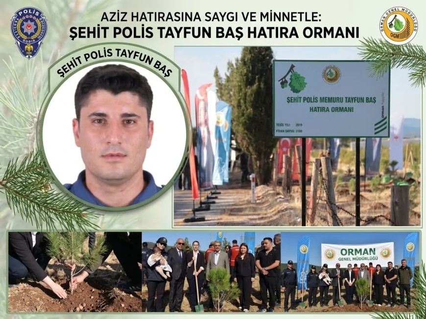 KAHRAMAN ŞEHİDİMİZ TAYFUN BAŞ’IN ADI FİDANLARLA ÖLÜMSÜZLEŞTİ